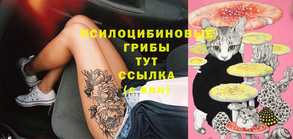 jwh Вязьма