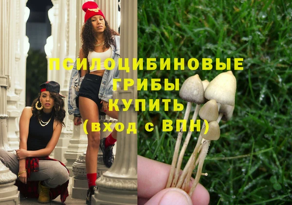 jwh Вязьма